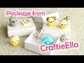 Package from CraftieElla│Polymer Clay Charms