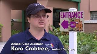 Animal Care Assistant - I Am Pinellas County