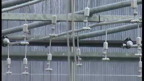 Fogger Irrigation system