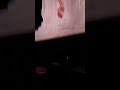 山口百恵ちゃんラストコンサートより、伝説の歌い終わってマイクを置くシーン!! 編集していて、私も涙がポロリと...感極まりました...