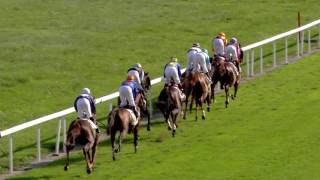 Vidéo de la course PMU PRIX DE BADEN-BADEN