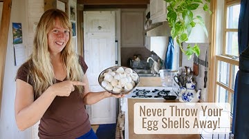 Never Throw Your Egg Shells Away! Multiple Uses for Them And Exactly What I Do