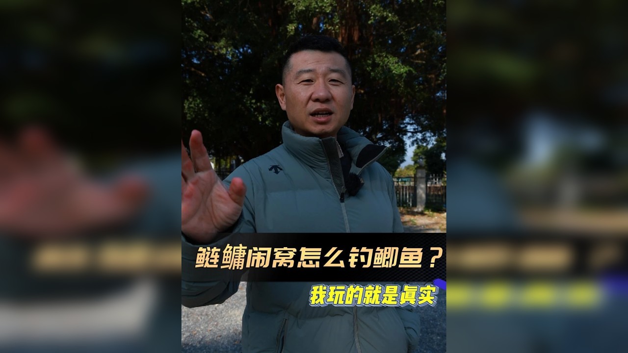 鲢鳙闹窝怎么钓鲫鱼?