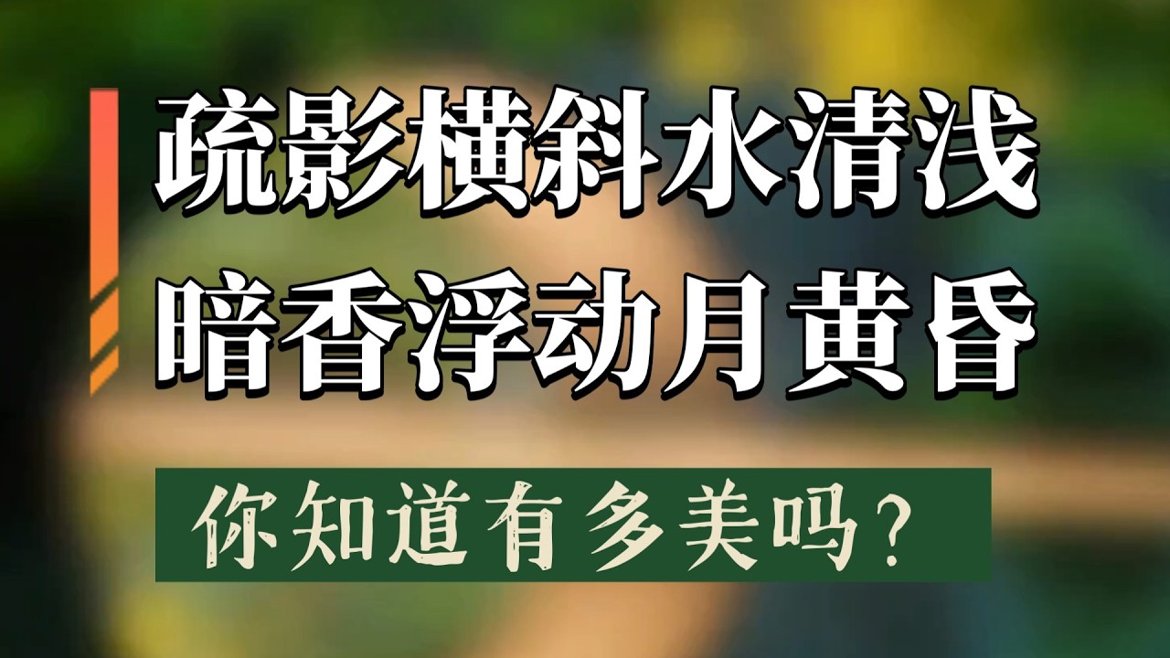 第44期】解读最美古诗词：《山园小梅》| “疏影横斜水清浅”：中国诗歌