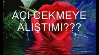 sen bilemezsın allahsız