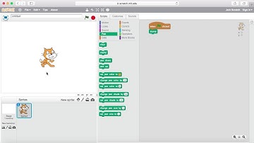 Scratch Tutorial | How to make the Duplicate Copy of the Sprite using Stamp