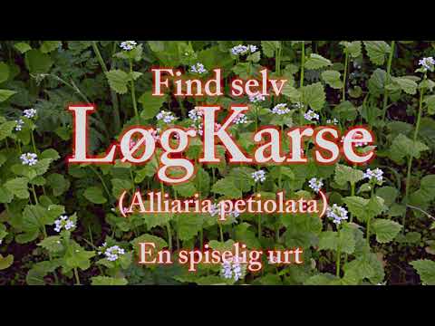 Video: Kinesisk Folkemedicinsk Plante Viser Sig At Være Kræftbehandling