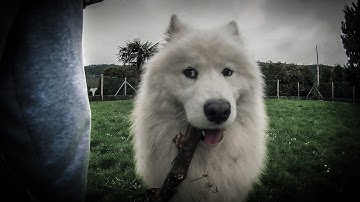 Git2 / Test. Jumping Maya