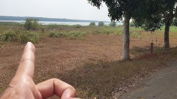 NVT1630 Đất nhìn hồ Đá Bàng, Châu Đức, BRVT, dt 5000m2,  có tới 500m2 tc cực HIẾM