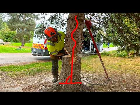 Step 2 preview