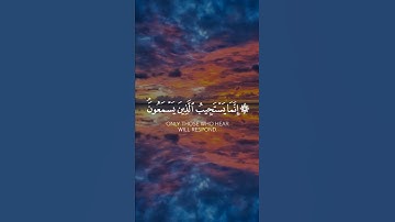 تلاوة هادئة تريح الأعصاب 😴🎧 | القاريء عمر ضياء الدين - سورة الأنعام ✨🌥️."