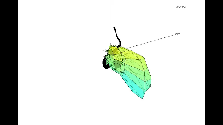 Simulation rayonnement Saxophone