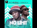 Richking Empire FT ERIGGA No Limit Official Audio mp3