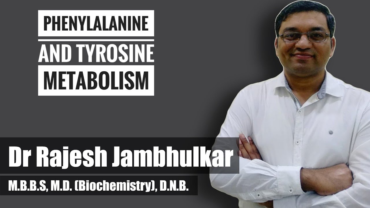 4. Phenylalanine and tyrosine metabolism