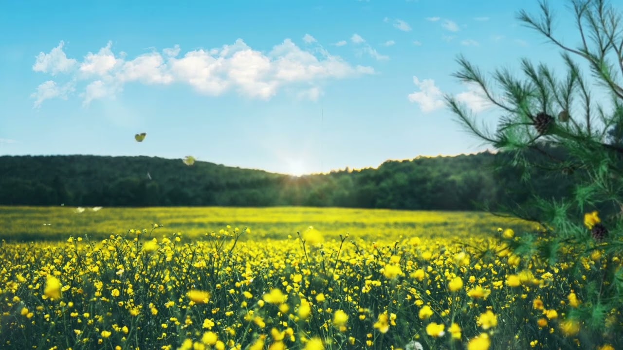 First positive thinking trial ❤️ An Amazing Success Story Of Law Of Attraction ❤️