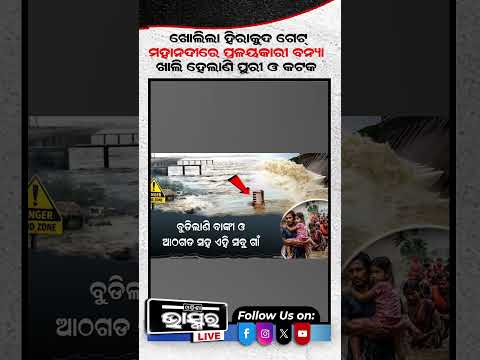 ଖୋଲିଲା ହିରାକୁଦର ୧୨ ଟି ଗେଟ୍  #hirakud #odishabhaskar #flood #shortvideo