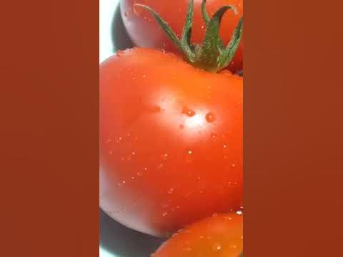 Помидоры-овощи. Очень урожайный сорт Ляна - YouTube