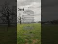 Part 3 of the strawberry field #dreamscreenai #scary #scarystories #scaryvideos #trending