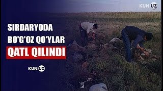 FERMERNING MULKIGA CHANG SOLISHDI