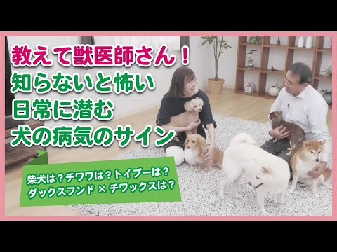 教えて獣医師さん！知らないと怖い日常に潜む犬の病気のサイン