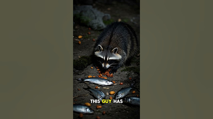 He’s Digging in My Backyard Every Night — I Don’t Know Why | True Horror Story