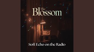 Soft Echo on the Radio