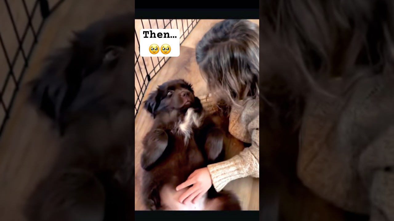 Puppy Grows Up TOO FAST 😭🐾🥹 