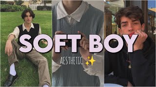 Download Lagu The Softboy Aesthetic For Men✨ MP3