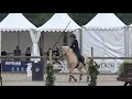 World championship working equitation 2022 in les herbiers maniabilit kertesz borbala marokko