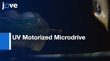 Design & Assembly: UV Motorized Microdrive For Chronic Neural Recordings- Animals l Protocol Preview