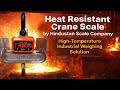 Heat Resistant Crane Scale by HSCo - High-Temperature Industrial Weighing Solution