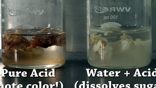 Dissolving Human Bodies! - CHM111 Lab 7