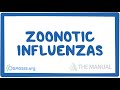 Zoonotic influenzas - causes, symptoms, diagnosis, treatment, pathology