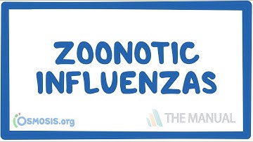 Zoonotic influenzas - causes, symptoms, diagnosis, treatment, pathology