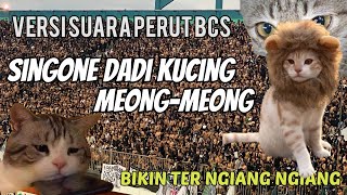 BIKIN NGAKAK‼️ BCS Ngechant Singone Dadi KUCING Meong Meong | PSS vs Arema