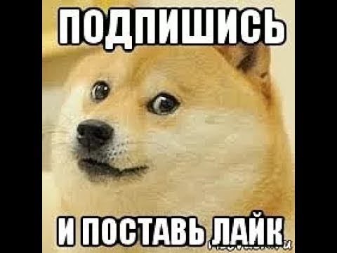 Щас лайк поставлю собака мем