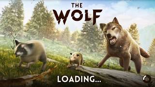 Celebrity In Legend Mountains -The Wolf Profile