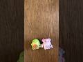 Tyler’s Fast Finds #69 - Bubble Stuffed Squishy Friends