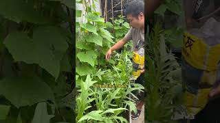 Top Tip for May Vegetable Planting Success