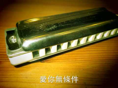 愛你無條件 黃乙玲 藍調口琴 十孔口琴 威森堡 1001 G#