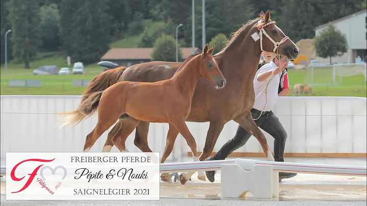 Ppite&NoukiSaign...  2021