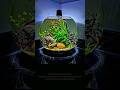 15 Second Bowl Aquarium Build