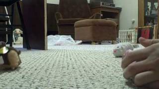 VID00006.AVI