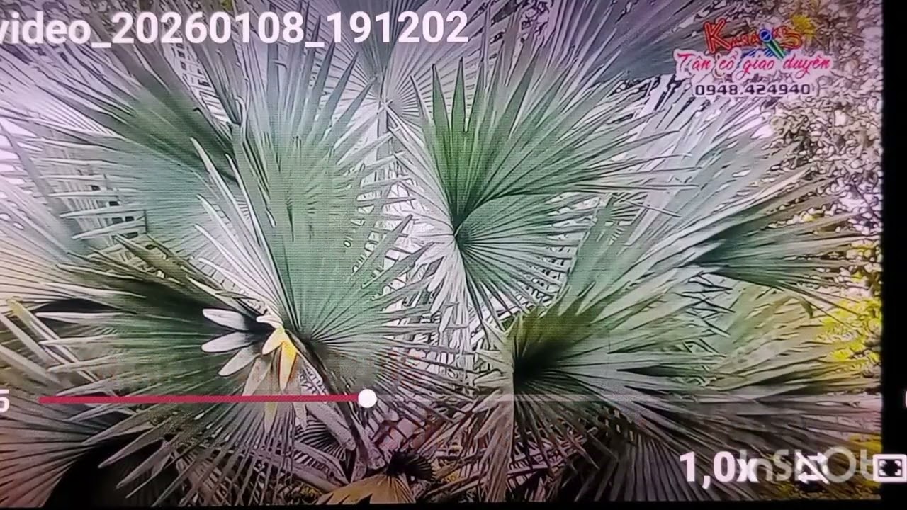 28 tháng 2, 2026 karaoke VC,, Tâm sự Mai Đình,, 12,,56,, Minh Thành đờn Guitar & sến 