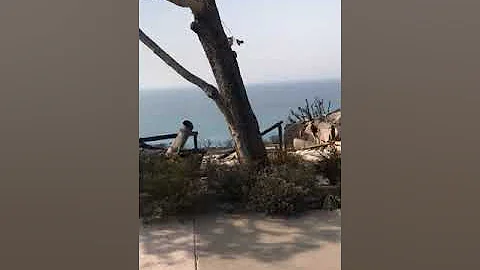 The Coastal Homes Of Malibu Have Been Destroyed By...