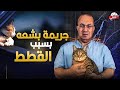 جــ ــريــ ـمـ ــه قـ ــتــ ــل بشعه داخل نادى التجديف بسبب الققط جــ ــريــ ـمـ ــه قـ ــتــ ــل بشعه داخل نادى التجديف بسبب الققط