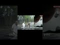 Georgia Officer Saves Choking Baby