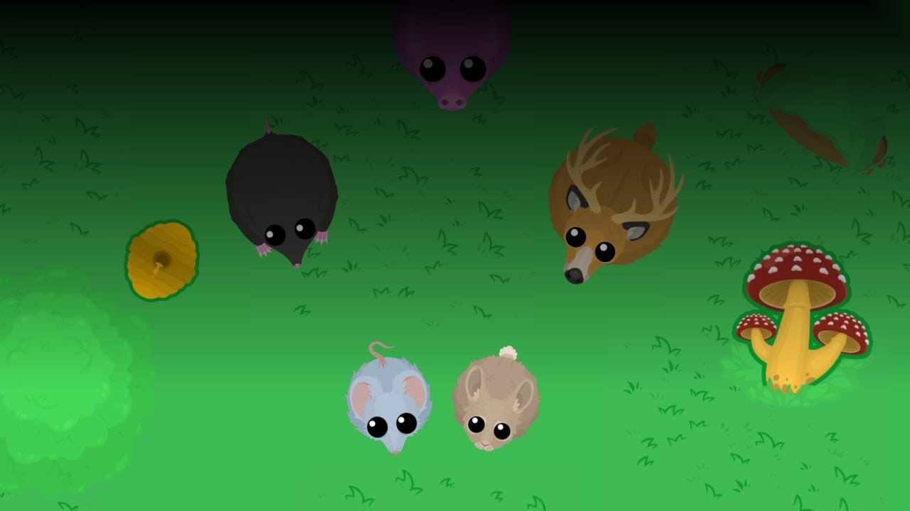 Mohio vs Mopeio - Seasonal Impact