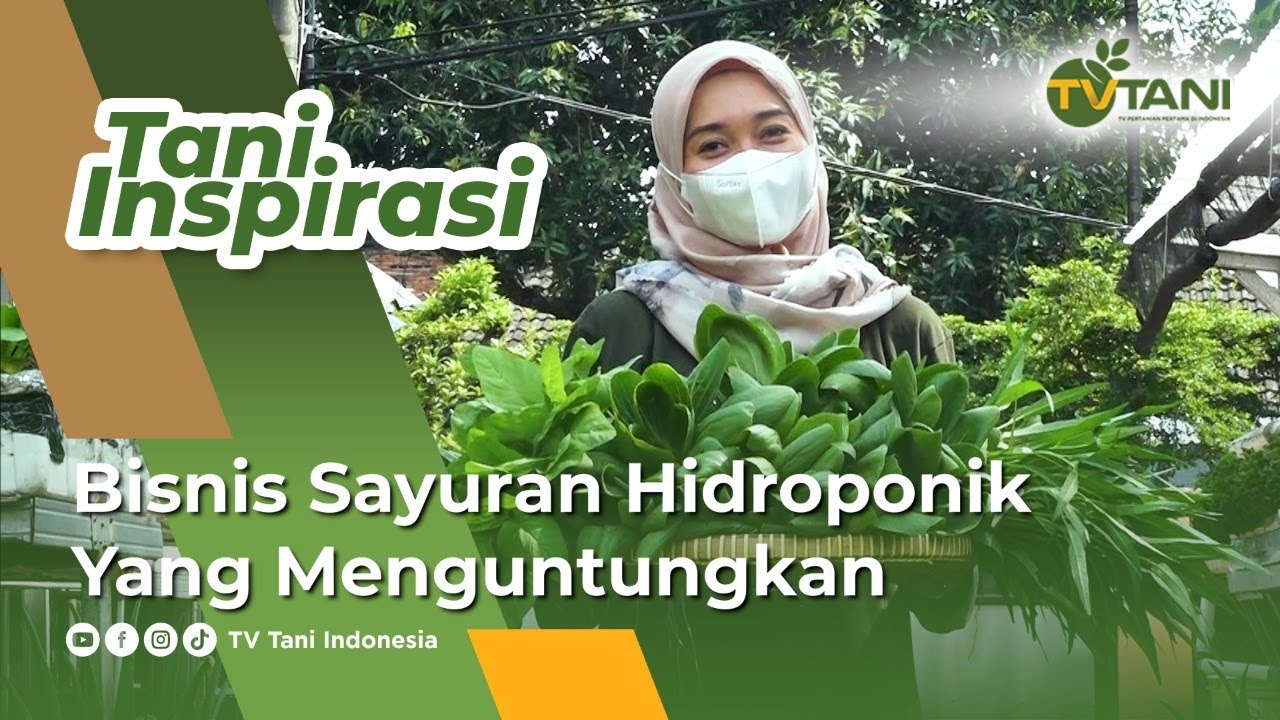 Inspirasi Ibu Muda, Lulusan Peternakan Sekarang Menjadi Petani Hidroponik yang Sukses