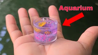 WORLD'S SMALLEST Fish AQUARIUM!